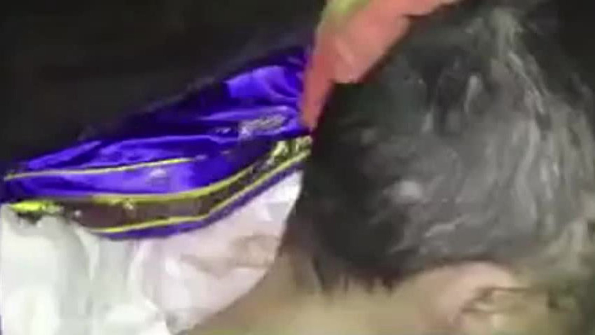 Necrophiliac Abuse