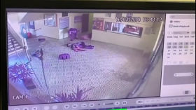 School Attack in Brazil by The Brazilian Guy